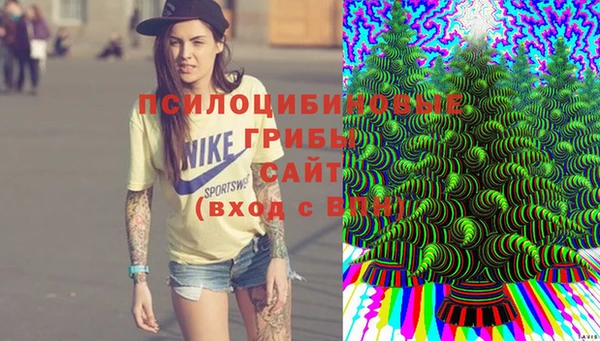 каннабис Арсеньев