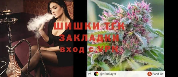 ПСИЛОЦИБИНОВЫЕ ГРИБЫ Аркадак