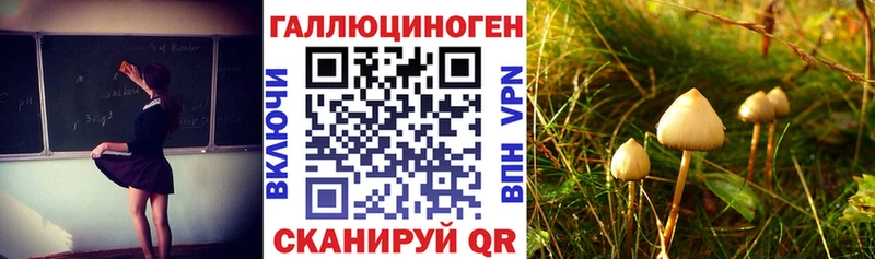 Галлюциногенные грибы прущие грибы  Безенчук 