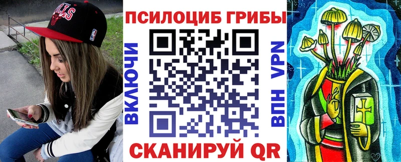 Галлюциногенные грибы Psilocybine cubensis Безенчук